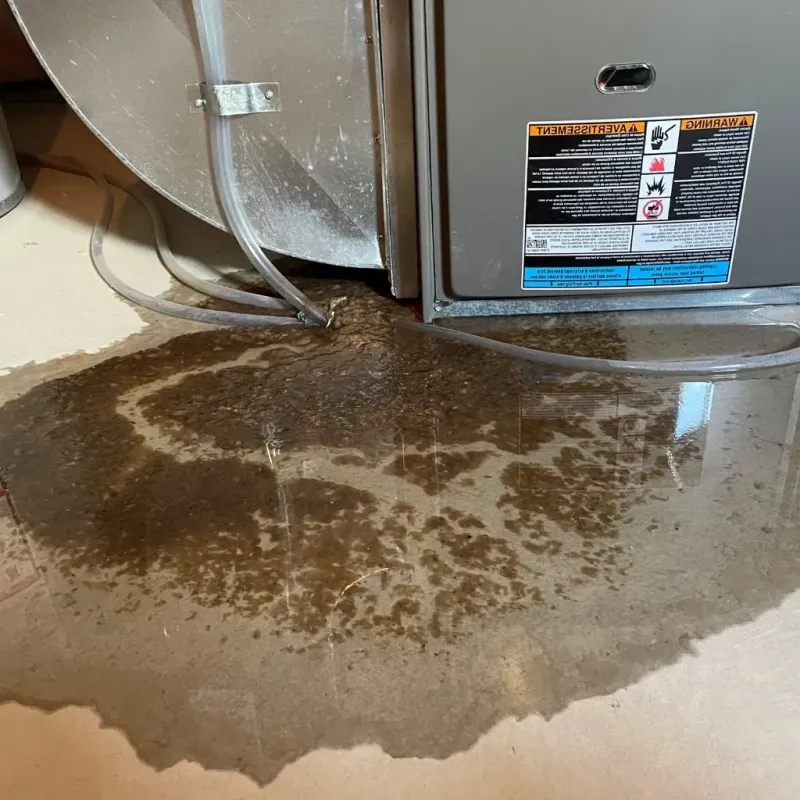 Pipe Burst and Leak Restoration in Exeter, RI