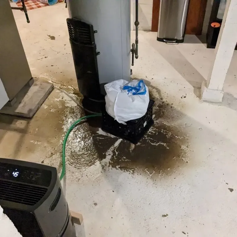Sewage Backup Cleanup Service in Exeter, RI